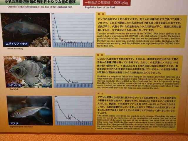 魚への放射線の影響