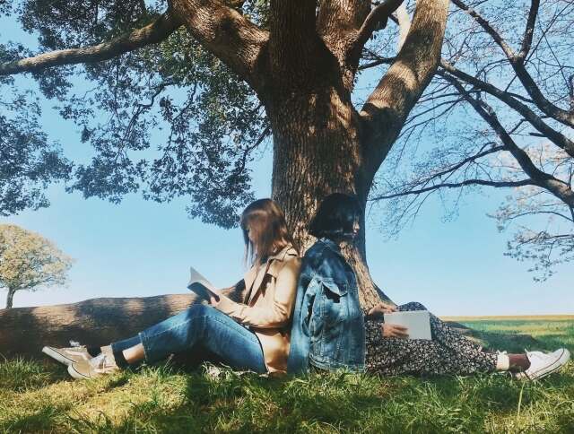 木の下で本を読む二人の女性