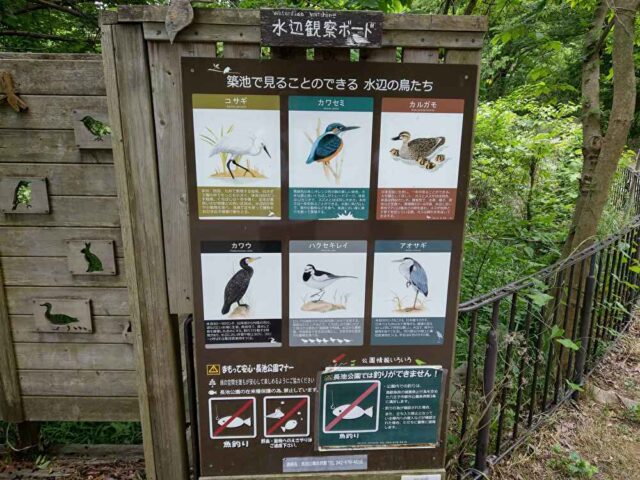 築池でみられる鳥