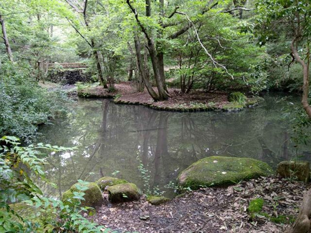 猿渡の池