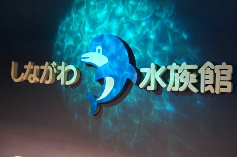 親しみやすくて気軽にいける しながわ水族館 海の生き物を学ぼう ケンスケの休日を楽しく過ごすブログ