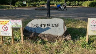 横川下原公園（八王子市）で「ちょい散歩」。気分転換にも最適！