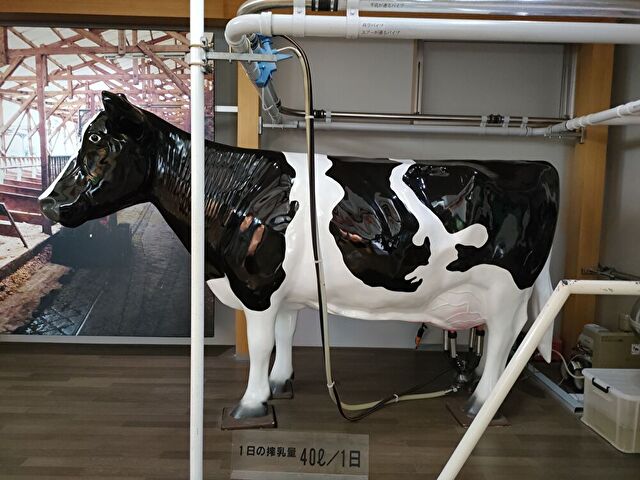 資料館にある牛の搾乳の模型